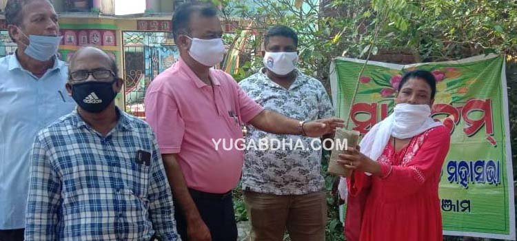 ରୁଷିକୂଲ୍ୟା ରୟତ ମହାସଭା ପକ୍ଷରୁ ଚାରା ରୋପଣ ଓ ବଣ୍ଟନ କାର୍ଯ୍ୟକ୍ରମ