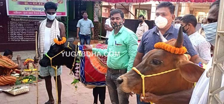 ୬୯ତମ ଗୋ-ସମ୍ବର୍ଦ୍ଧନା ସପ୍ତାହରେ ଗୋ-ପୂଜନ 