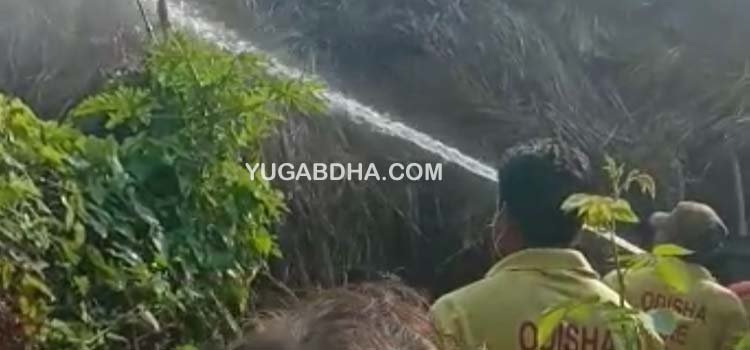 ହରିଡାଚିରା ଗ୍ରାମରେ ୩ ବଖରା ପୋଡି ପାଉଁଶ