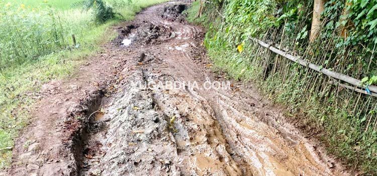 ରାସ୍ତା ମରାମତି ନେଇ ରାଷ୍ଟ୍ରପତି, ପ୍ରଧାନମନ୍ତ୍ରୀଙ୍କୁ ଗୁହାରୀ କଲେ ଗାଁଲୋକେ