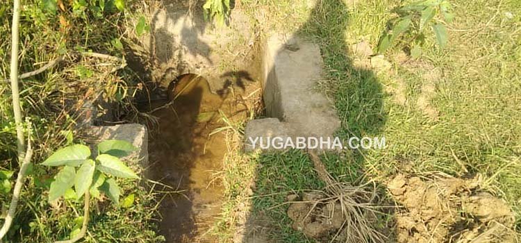ଖସିପୁର ମାଇନର କେନାଲରେ ପାଣି ଯାଉନି; ଚାଷୀ ହତାଶ  