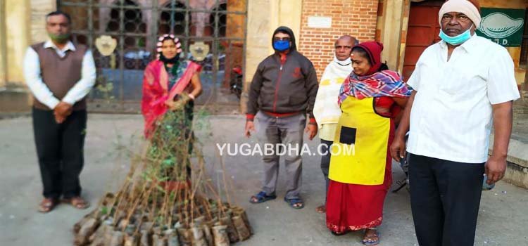 ବନ ବିଭାଗ ପକ୍ଷରୁ ଚାରା ବଣ୍ଟନ କାର୍ଯ୍ୟକ୍ରମ
