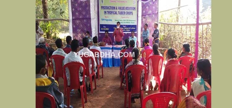 କନ୍ଧମାଳ ଜିଲାର ବିଭିନ୍ନ ଗ୍ରାମାଞ୍ଚଳରେ କନ୍ଧା ଚାଷର ପ୍ରସାର ସମ୍ବନ୍ଧୀୟ କର୍ମଶାଳା