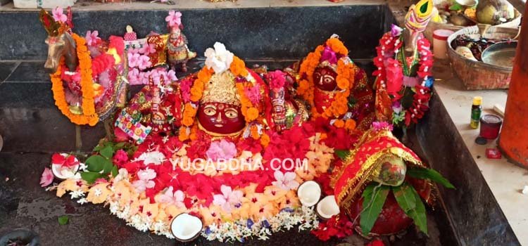 ମା’ ବିଶ୍ୱତାରିଣୀ ମନ୍ଦିରରେ ସ୍ୱତନ୍ତ୍ର ପୂଜା