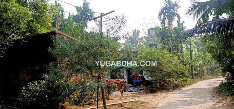 ନାଉଗାଁ ବ୍ଳକରେ ବାଉଁଶ ଖୁଂଟିରେ ଚାଲିଛି ବିଦ୍ୟୁତ ସେବା