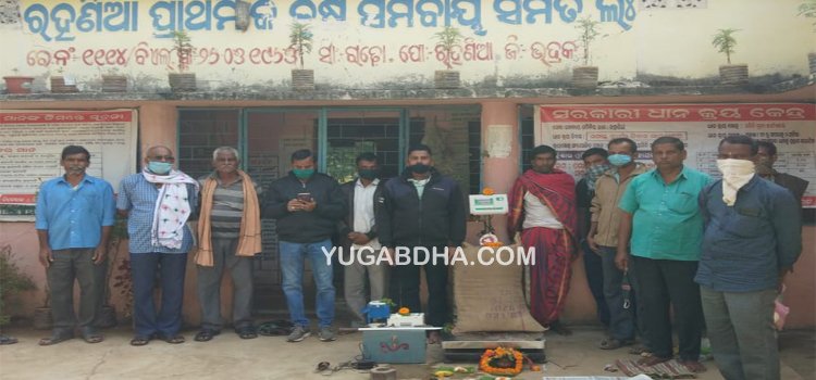 ବିଭିନ୍ନ ସ୍ଥାନରେ ଧାନମଣ୍ଡି ଉଦଘାଟିତ