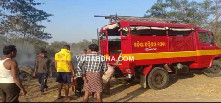 ଖଳାରେ ଥିବା ଅମଳ ଧାନ ନିଆଁ ରେ ପୋଡି ନଷ୍ଟ