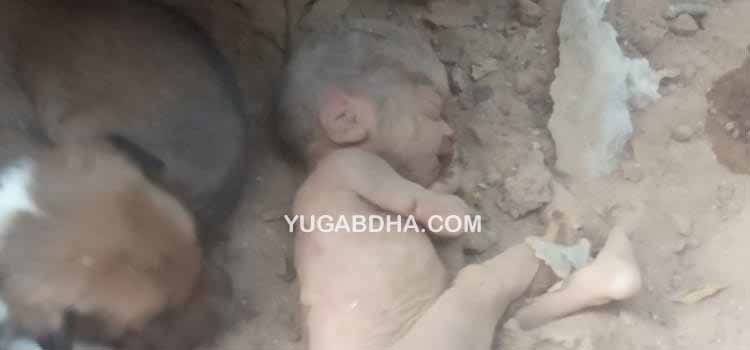 ସଦ୍ୟଜାତ ଶିଶୁର ମୃତଦେହକୁ କୁକୁର ଧରି ବୁଲିଲା