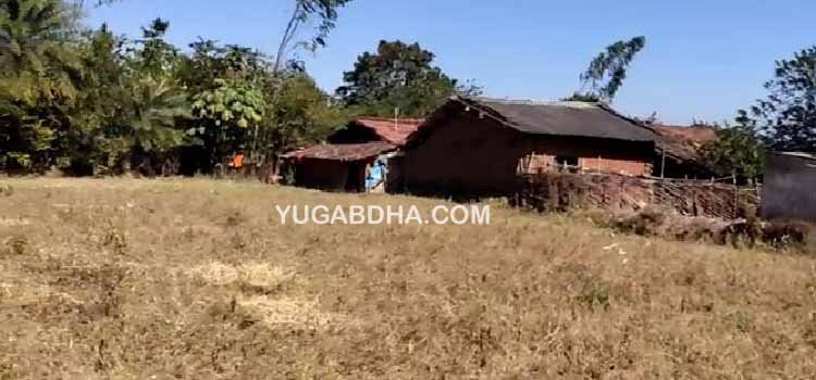 ଲାଞ୍ଜିଗଡ଼ ବ୍ଲକରେ ପୁଣି ହାତୀ ଉପଦ୍ରବ, ଘର ଓ ବୋରୱଲ ଭାଙ୍ଗିଲେ, ଧାନ,ମାଣ୍ଡିଆ ନଷ୍ଟ କଲେ ୩୬ ଘଣ୍ଟା ଝୁଲି ରହିଲା ବିଦ୍ୟୁତ ତାର