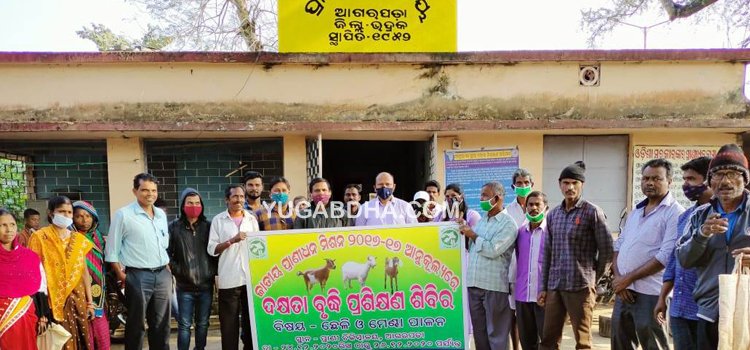 ଛେଳି ପାଳନ ଦକ୍ଷତା ବୃଦ୍ଧି ପ୍ରଶିକ୍ଷଣ ଶିବିର