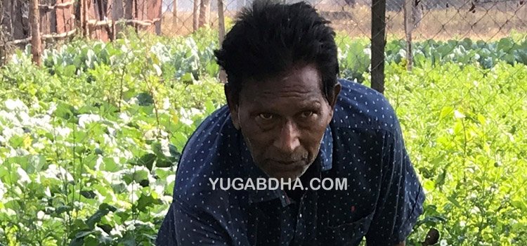 ଟାଟା ଷ୍ଟିଲ୍ ଫାଉଣ୍ଡେସନ ପକ୍ଷରୁ ସ୍ଥାପିତ କିଚେନ୍ ଗାର୍ଡେନ୍ ଜରିଆରେ ଦେଓଝର ଗ୍ରାମର ୪୭୯ରୁ ଅଧିକ ପରିବାର ଉପକୃତ