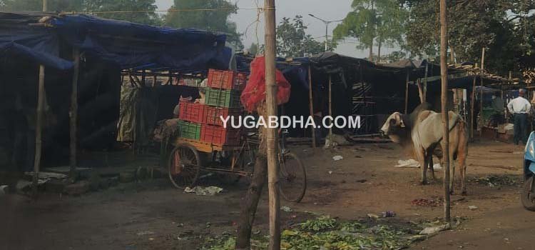 ଦୀର୍ଘ ୯ମାସ ପରେ ଉଠା ପରିବା ଓ ମାଛ ମାଂସ ଦୋକାନୀ ପୁରୁଣା ଜାଗାକୁ ଫେରିଲେ