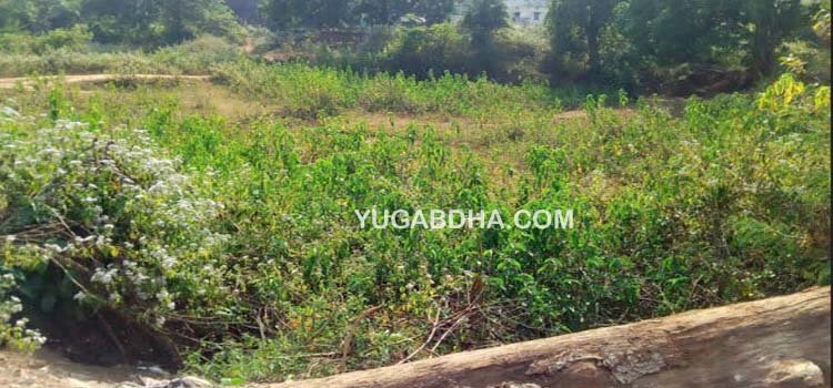 ବ୍ରାହ୍ମଣୀଗାଁ ଭିମାନାଳ ବନ୍ଧର ପୁନରୁଦ୍ଧାର ଦାବୀ