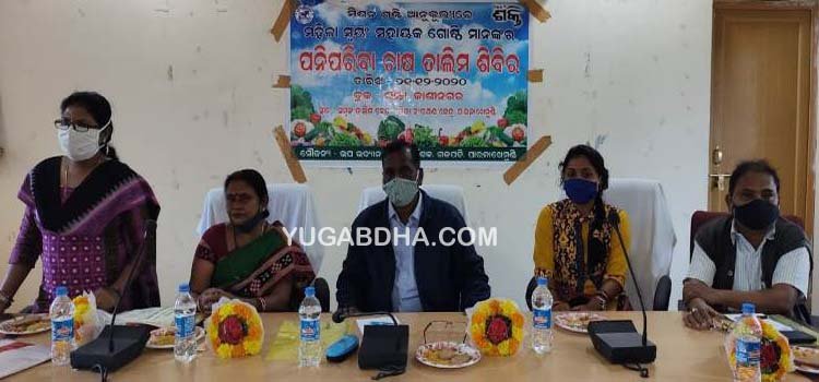 ମିଶନଶକ୍ତି ଦ୍ୱାରା ମହିଳା ସ୍ୱୟଂସହାୟୀକା ଗୋଷ୍ଠୀଙ୍କୁ ପନିପରିବା ଚାଷ ତାଲିମ ଶିବିର