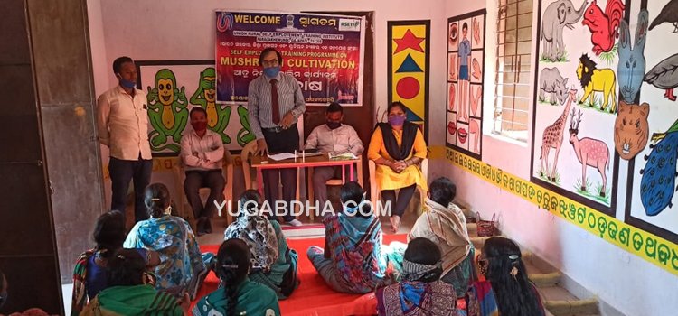 ଲୁହାରା ଗ୍ରାମରେ ଛତୁ ଚାଷ ତାଲିମ କାର୍ଯ୍ୟକ୍ରମ ଉଦ୍‌ଘାଟିତ
