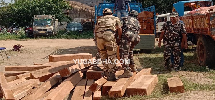 କାଶୀନଗର ପୋଲିସ ଦ୍ଵାରା ବିପୁଳ ପରିମାଣର କାଠ ଜବତ