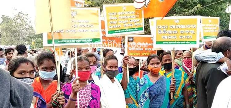 ପରୀକୁ ନ୍ୟାୟ ଦାବୀରେ ଗଜପତି ବିଜେପି ପକ୍ଷରୁ ଶୋଭାଯାତ୍ରା