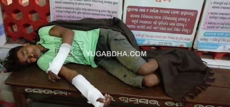 ନଡିଆ ଗଛରୁ ଖସି ଯୁବକ ଆହତ