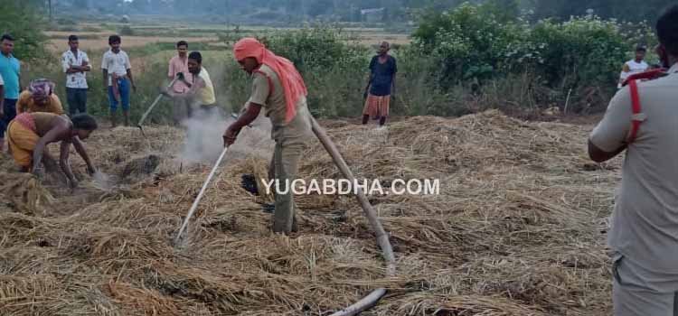 ଧାନ ଗଦାରେ ଲାଗିଲା ନିଆଁ