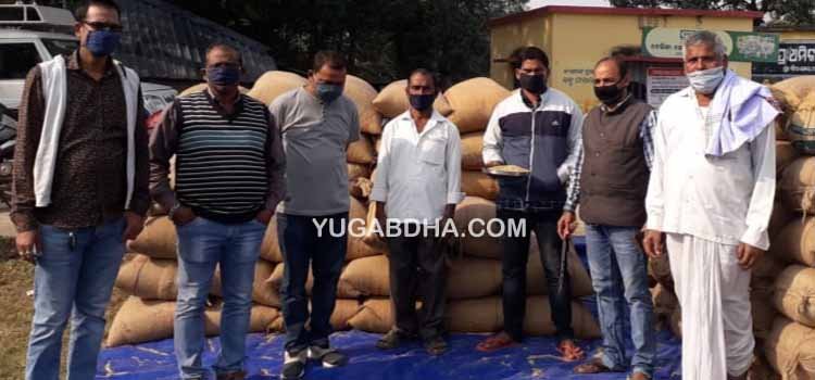 ତେସିଙ୍ଗା ଠାରେ ଧାନମଣ୍ଡି ଉଦଘାଟିତ