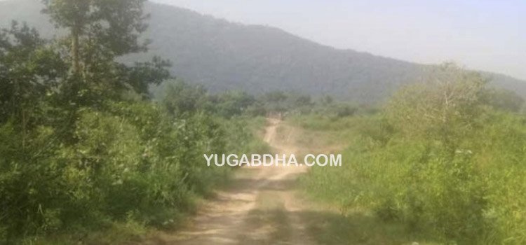 ସମସ୍ୟା ଘେରରେ ସୀତାପଡ଼ି ଗ୍ରାମ: ବିଦ୍ୟୁତ ଆଲୁଅ ପାଲଟିଛି ସାତସପନ, ଡିବିରି ଆଲୁଅରେ ବିତୁଛି ଜୀବନ: ସବୁ ଦିନିଆ ରାସ୍ତା ନାହିଁ,