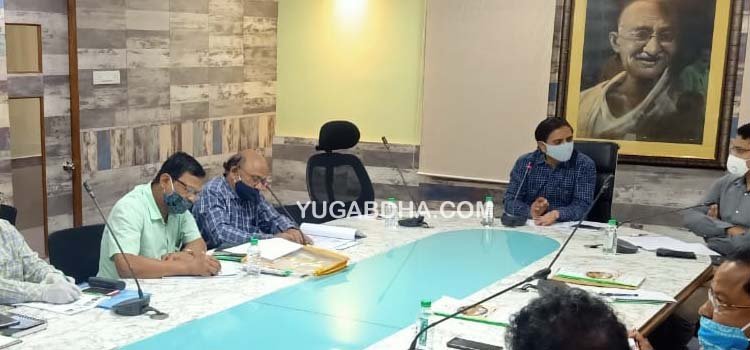 ଚଳିତ ମାସ ୧୫ ତାରିଖରୁ କପା ସଂଗ୍ରହ