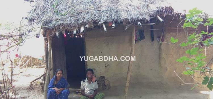 ଜରିପାଲ ତଳେ ବିତୁଛି ଗୋପାଳଙ୍କ ପରିବାର ଜୀବନ