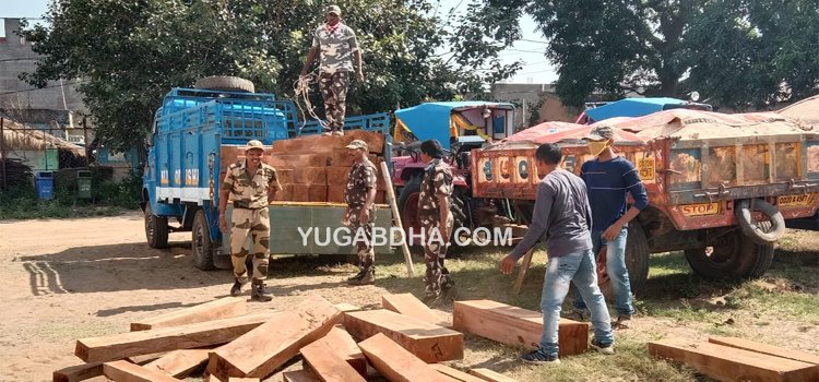 ଆନ୍ଧ୍ରକୁ ଚାଲାଣ ବେଳେ କାଶୀନଗର ପୋଲିସ ଦ୍ୱାରା ବିପୁଳ ପରିମାଣର କାଠ ଜବତ