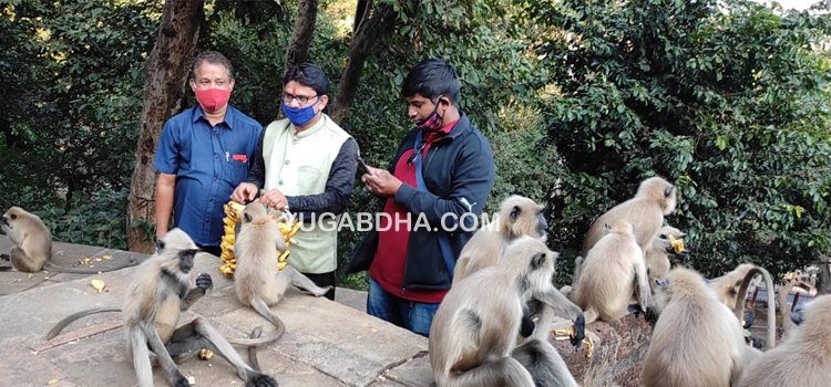 ଜୀବେ ଦୟା, ମାଙ୍କଡ଼ମାନଙ୍କ ଗହଣରେ ଜନ୍ମଦିନ ପାଳନ
