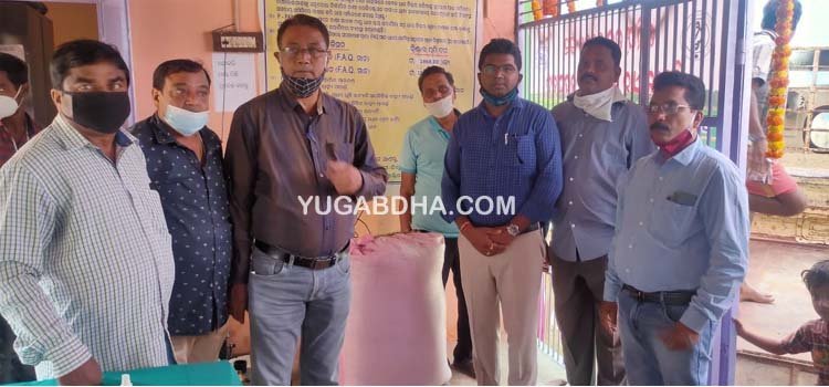 ହିଞ୍ଜିଳି ବ୍ଲକ ରେ ଧାନମଣ୍ଡି ଉଦଘାଟିତ