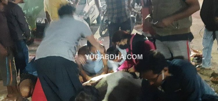 ବ୍ରହ୍ମପୁର ଗୋଇଲୁଣ୍ଡି ନିକଟସ୍ଥ ଶାନ୍ତି ନଗର ଠାରେ ଏକ ଗାଈର ଗର୍ଭାଶୟ ବାହାରକୁ ଖସି ଥିବାର ଦେଖିବାକୁ ମିଳିଛି