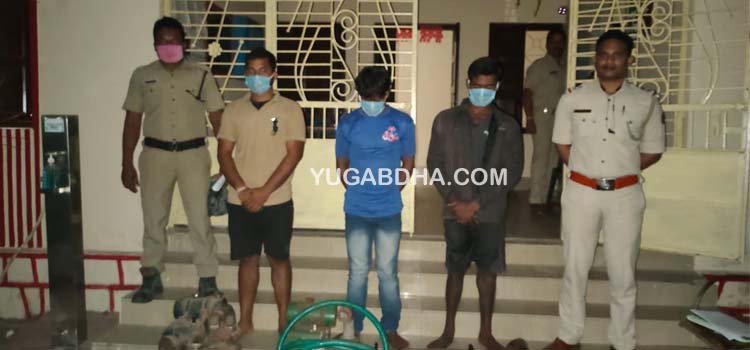 ତିନି ଡକାୟତ ଗିରଫ ଚୋରି ପମ୍ପ ସେଟ ଉଦ୍ଧାର