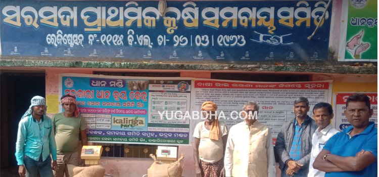 ସରସଦା ଠାରେ ଧାନମଣ୍ଡି ଉଦଘାଟିତ
