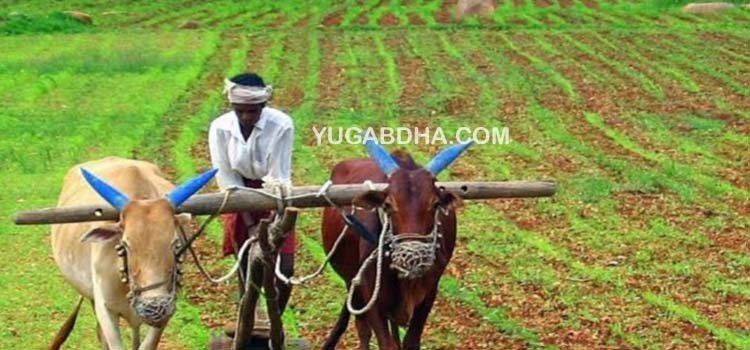 ବଳିଆ ଯୋଜନା ପାଇଁ ପ୍ରସ୍ତୁତି