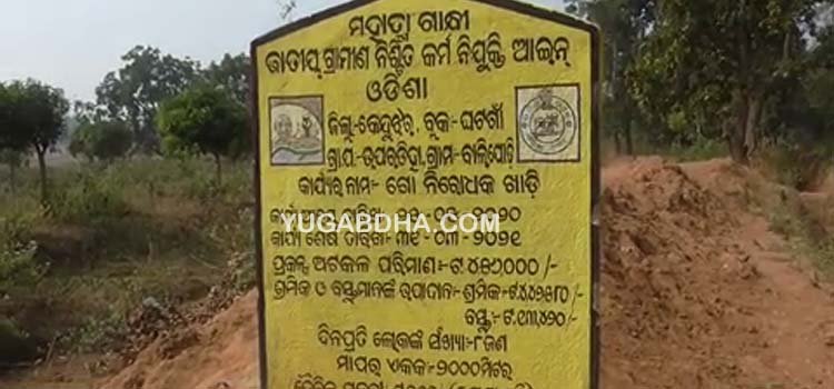 ବନବିଭାଗର ମନରେଗା ଯୋଜନାରେ କାମ କରି ମଜୁରୀ ପାଇନାହାନ୍ତି ଶ୍ରମିକ