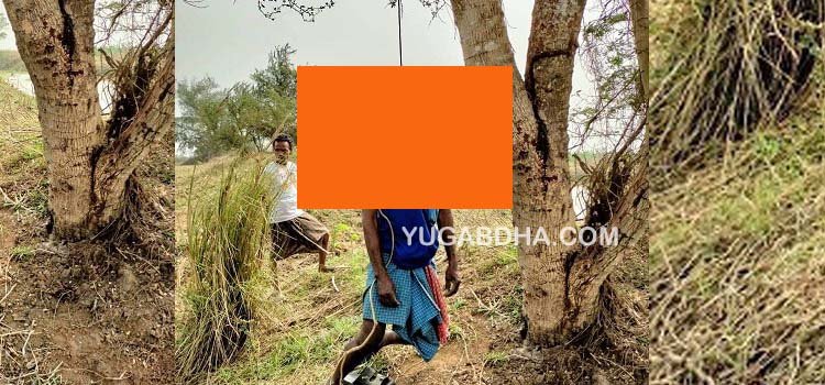 ଅଜଣାବ୍ୟକ୍ତିଙ୍କ ଶବ ଗଛରେ ଝୁଲୁଛି