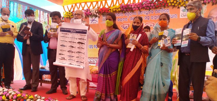 ବାହାବଳପୁର ଠାରେ ମେରାଇନ କେଜ୍ କଲ୍‌ଚର ପ୍ରକଳ୍ପର ଭିତିପ୍ରସ୍ତର ସ୍ଥାପନ