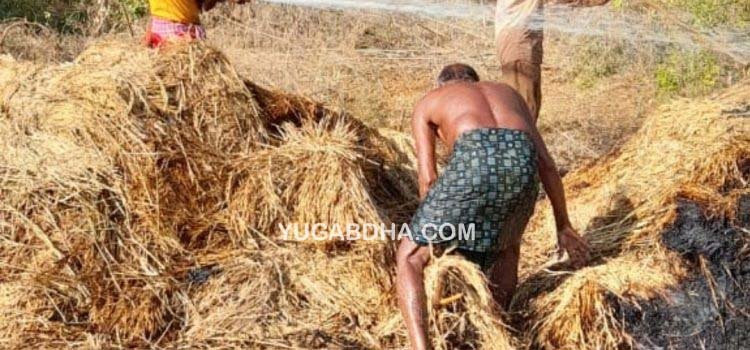 ୬ଟି ଧାନ ଖଳାରେ ନିଆଁ ଲାଗି ଧାନ ଫସଲ ନଷ୍ଟ