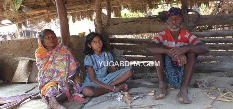 ଗୁହାଳ ଘରେ ବିତୁଛି ଜୀବନ; ଘର ଖଣ୍ଡିଏ ପାଇଁ ସରକାରଙ୍କୁ ଗୁହାରୀ