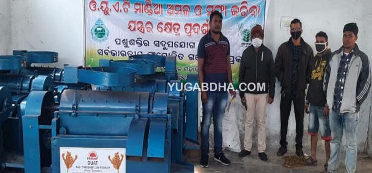 ଓୟୁଏଟି ପକ୍ଷରୁ ମାଣ୍ଡିଆ ଅମଳ ଓ ସଫାଯନ୍ତ୍ରର କ୍ଷେତ୍ର ପ୍ରଦର୍ଶନ