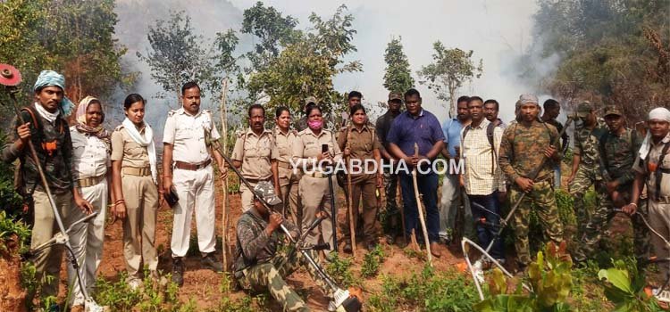 ଗଜପତିରେ ପୁଣି ୮ କୋଟିରୁ ଉର୍ଦ୍ଧ୍ୱ ଟଙ୍କାର ଗଞ୍ଜେଇ ଗଛକୁ ପୋଡି ନଷ୍ଟ କରାଗଲା