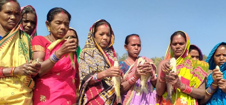 ମାଛ ଚାଷ କରି ଉପକୃତ ହେଉଛନ୍ତି ସ୍ୱୟଂ ସହାୟିକା ଗୋଷ୍ଠୀ