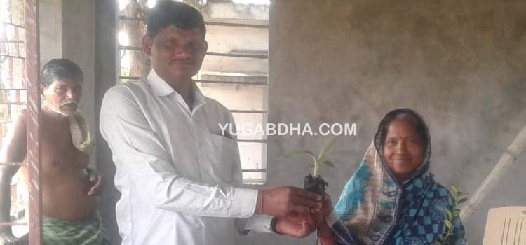 'ମୋ ବଗିଚା' କାର୍ଯ୍ୟକ୍ରମରେ ଚାରା ବଣ୍ଟନ
