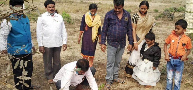 ଭିନ୍ନକ୍ଷମ ବିଦ୍ୟାଳୟରେ ବୃକ୍ଷରୋପଣ