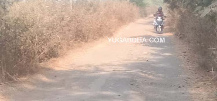ହାଇଲେବୁଲ ୩ନଂ ମୁଖ୍ୟ କେନାଲ ରାସ୍ତା ଶୋଚନୀୟ