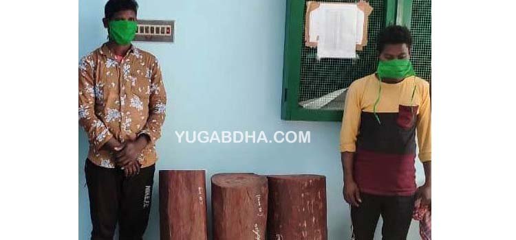 ୨ଜଣ ରକ୍ତଚନ୍ଦନ ଚୋରା ଚାଲାଣକାରୀଙ୍କୁ କୋର୍ଟ ଚାଲାଣ