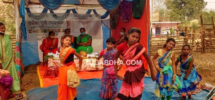 ଏସଏଚଜି  ତରଫରୁ ମହା ପୃଷ୍ଟି ମହୋତ୍ସବ ପାଳନ