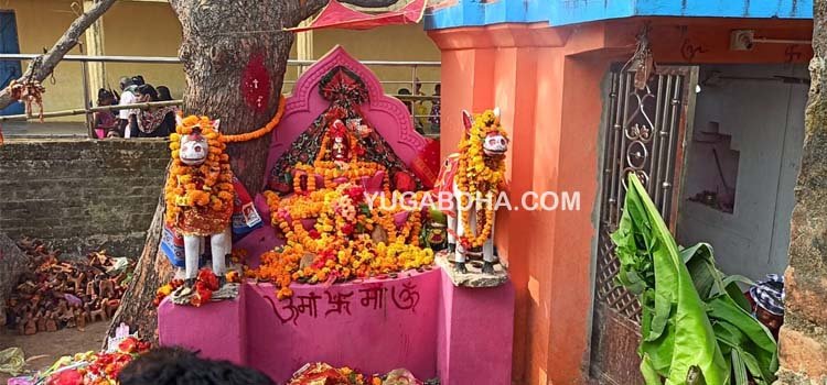 ଭାଟିଆଶୁଣି ମକର ମେଳା ଆରମ୍ଭ, ମାଟି ଘୋଡା ଚଢ଼ାଇଲେ ମନସ୍କାମନା ପୁର୍ଣ୍ଣ ହୁଏ