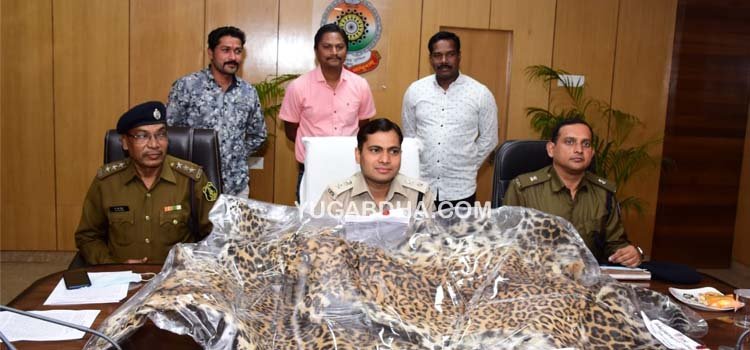 ଛତିଶଗଡ଼ ପୋଲିସ ର ବଡ଼ ସଫଳତା;ବାଘଛାଲ ଜବତ ସହ ୨ବ୍ୟବସାୟୀ ଗିରଫ