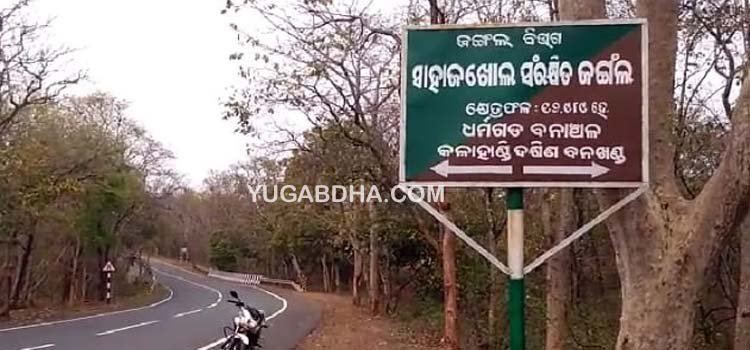 କଳାହାଣ୍ଡି-ଜାତୀୟ ରାଜପଥ ଉପରେ କଲରାପତରିଆ ବାଘ